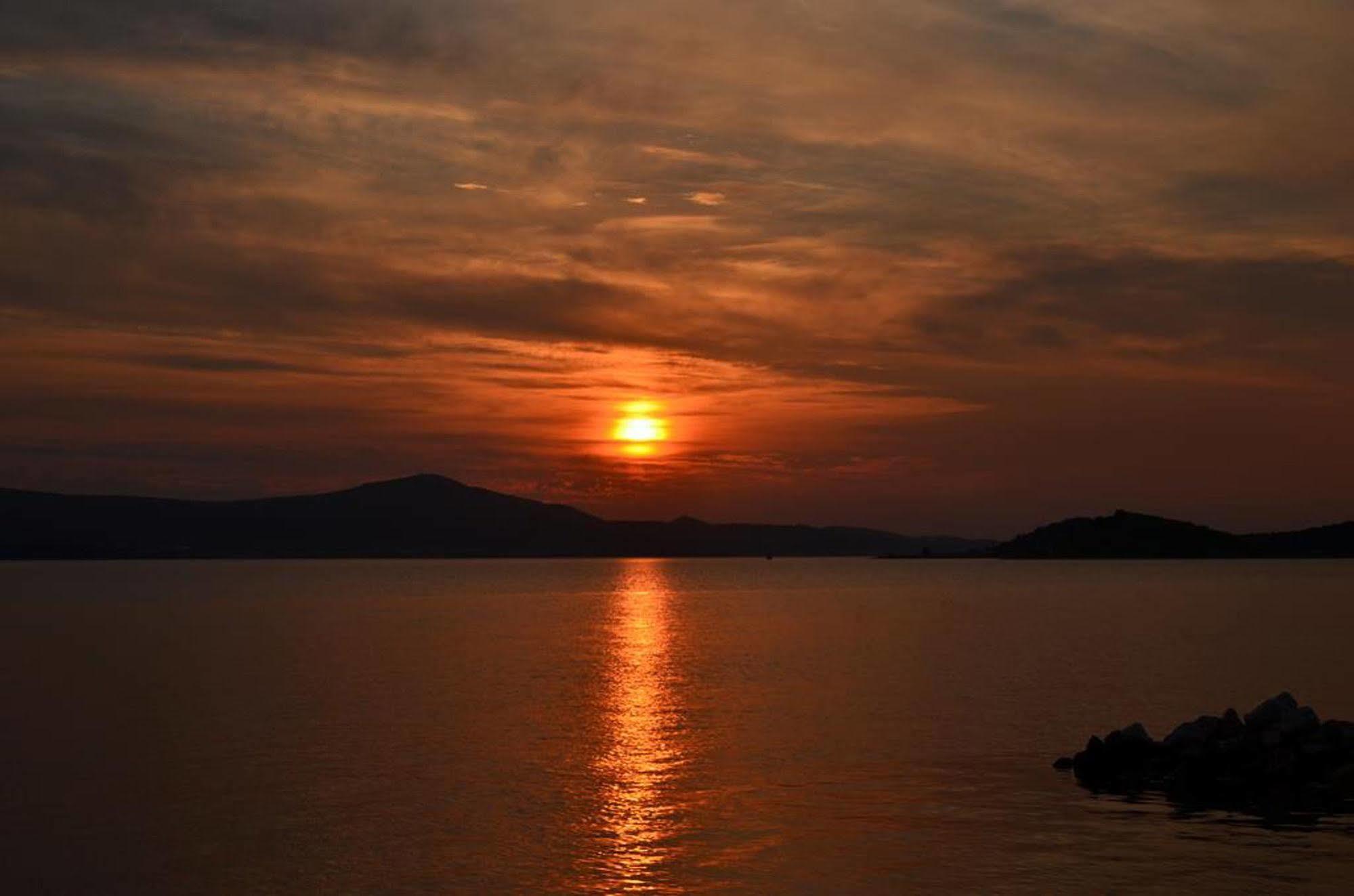 Bonamare Turanj